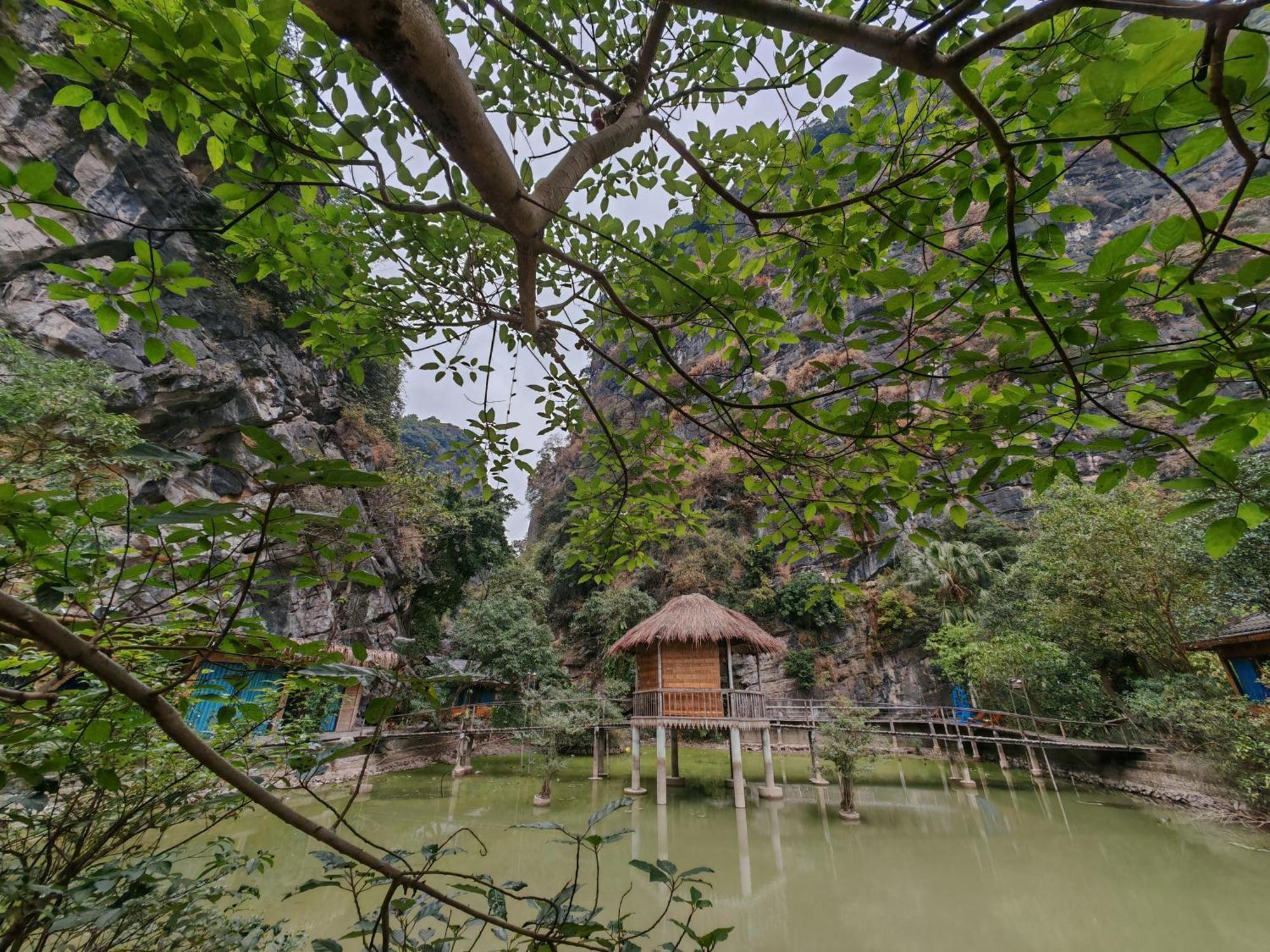 Green Valley Homestay - Thung Lung Xanh Nguyen Ngoai Eksteriør bilde