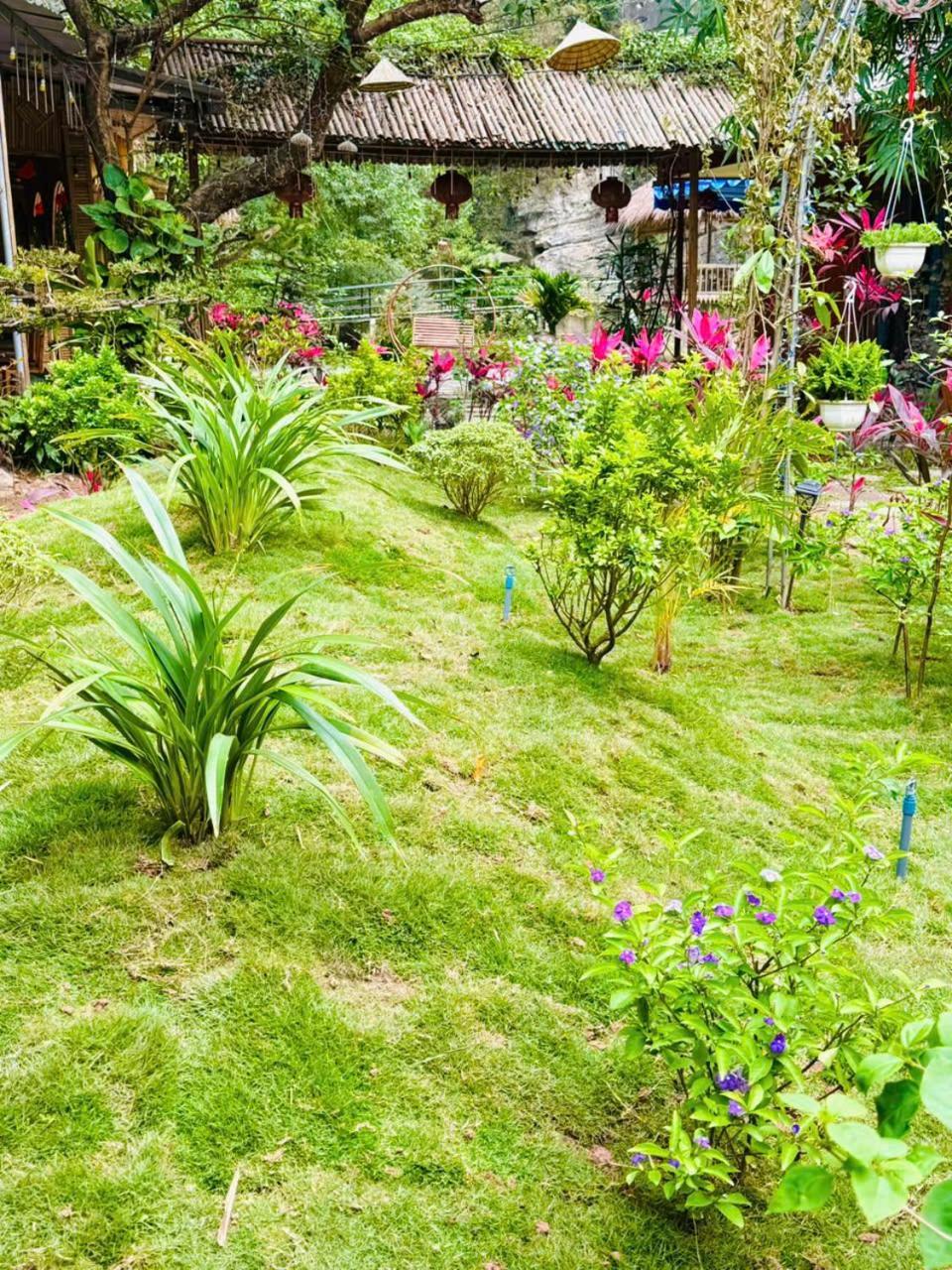 Green Valley Homestay - Thung Lung Xanh Nguyen Ngoai Eksteriør bilde