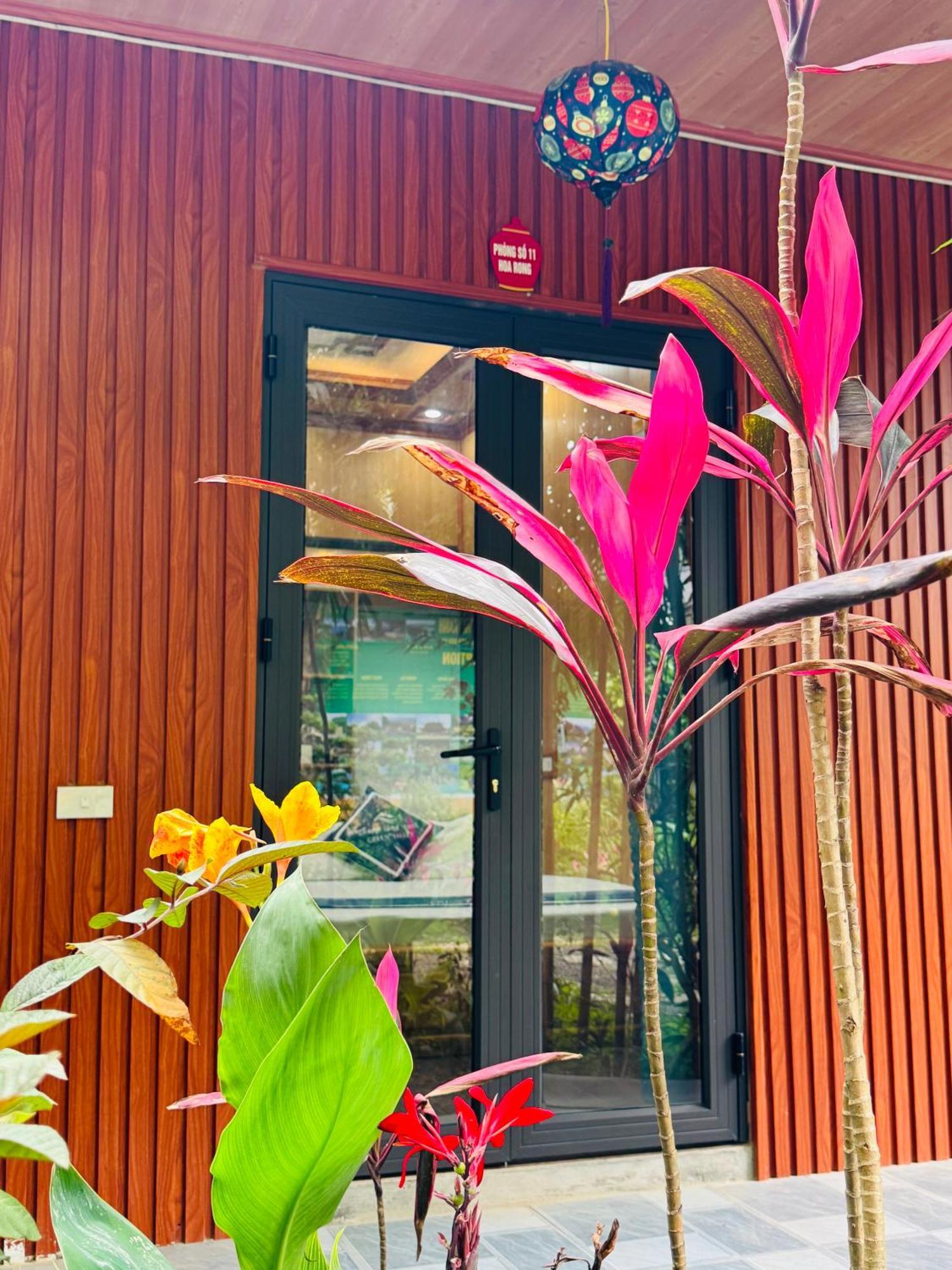Green Valley Homestay - Thung Lung Xanh Nguyen Ngoai Eksteriør bilde
